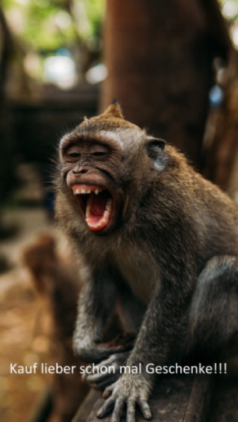 Amazon Weihnachtsgeschenk